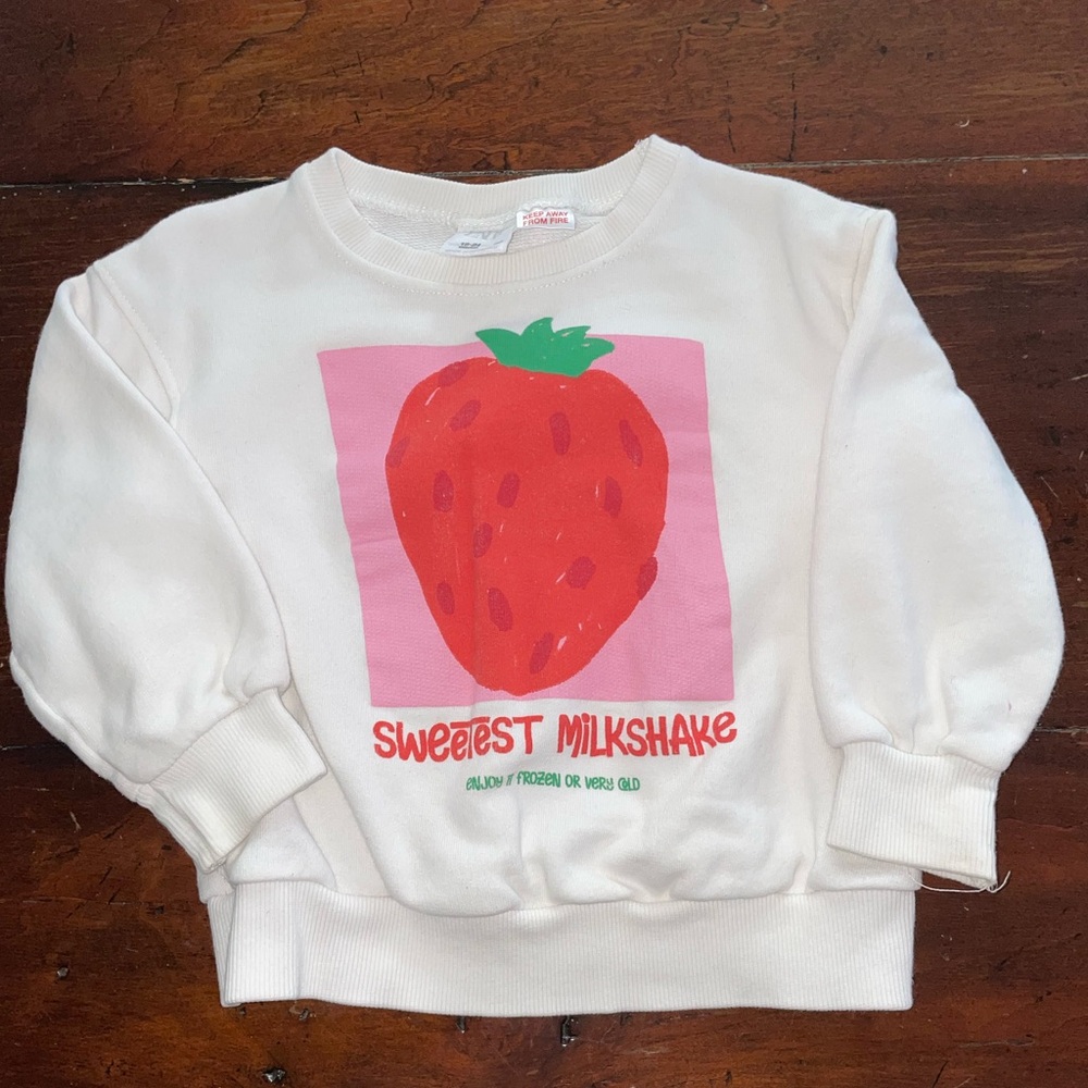 Zara Toddler Sweatshirt